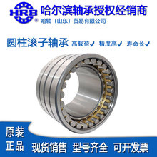 �����I�p�����Ķ̈A���L���S�� NN3012 3013K/P5W33���ܙC���S��