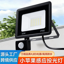 人体感应投光灯户外别墅庭院红外感应泛光灯跨境小苹果LED投光灯