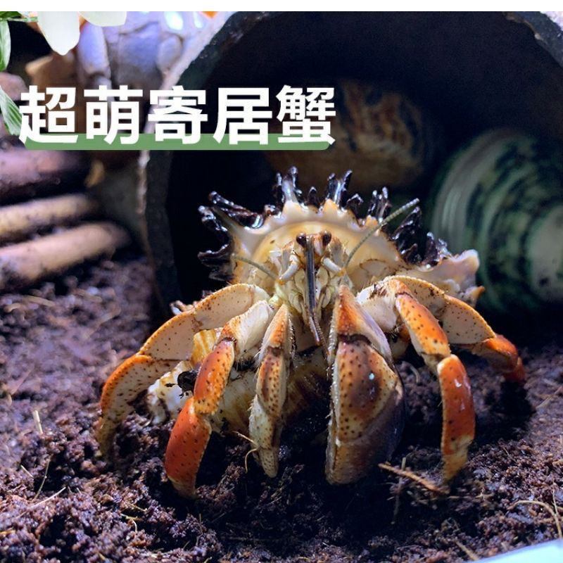 6c2b6de7-8bed-4aa6-a221-18cf2bb469d8.jpe