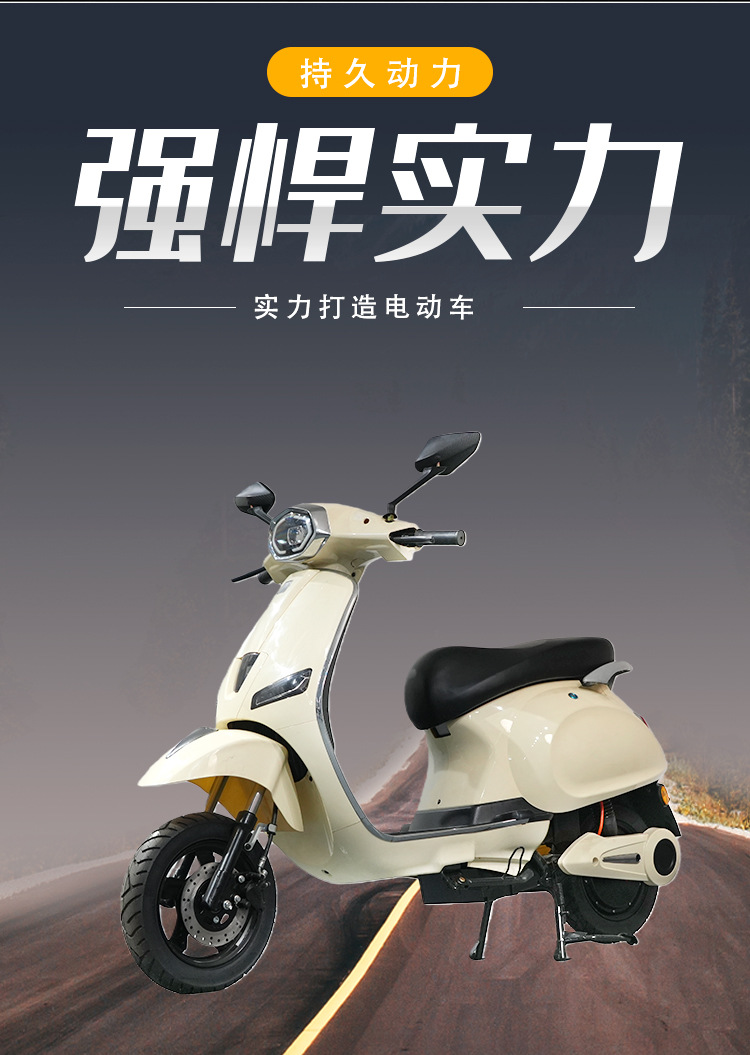 Electric Bicycle for Adults, Long Range Electric Motorcycle