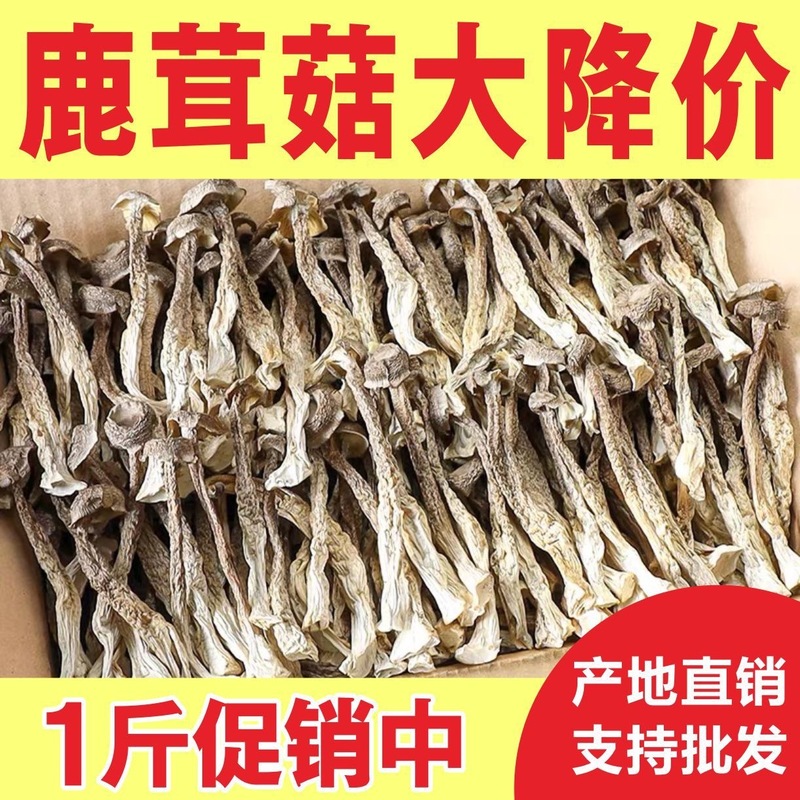 鹿の角茸乾物 特級 500g 鹿の角茸 農場食用菌 福建古田高山茸|undefined