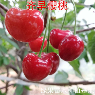 ������� �R������� ����Ҙ��� �޽ә����� ܇���Ә����ϱ����N