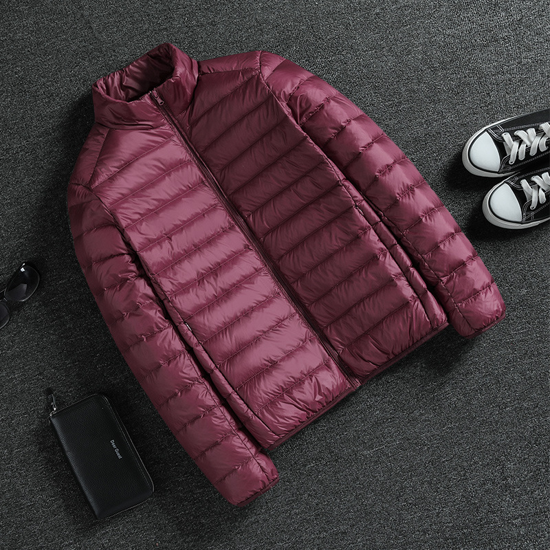 Men's Clothing Duck Silk cotton jacket for men Winter thin short versatile tops men warm stand collar jacket portable coat_voghion.com