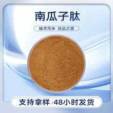 小分子肽易吸收营养补充蛋白质植物提取酶解工艺食品原料南瓜子肽