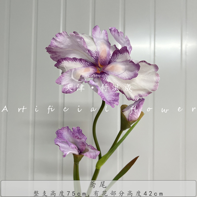 아이리스 그라데이션 퍼플