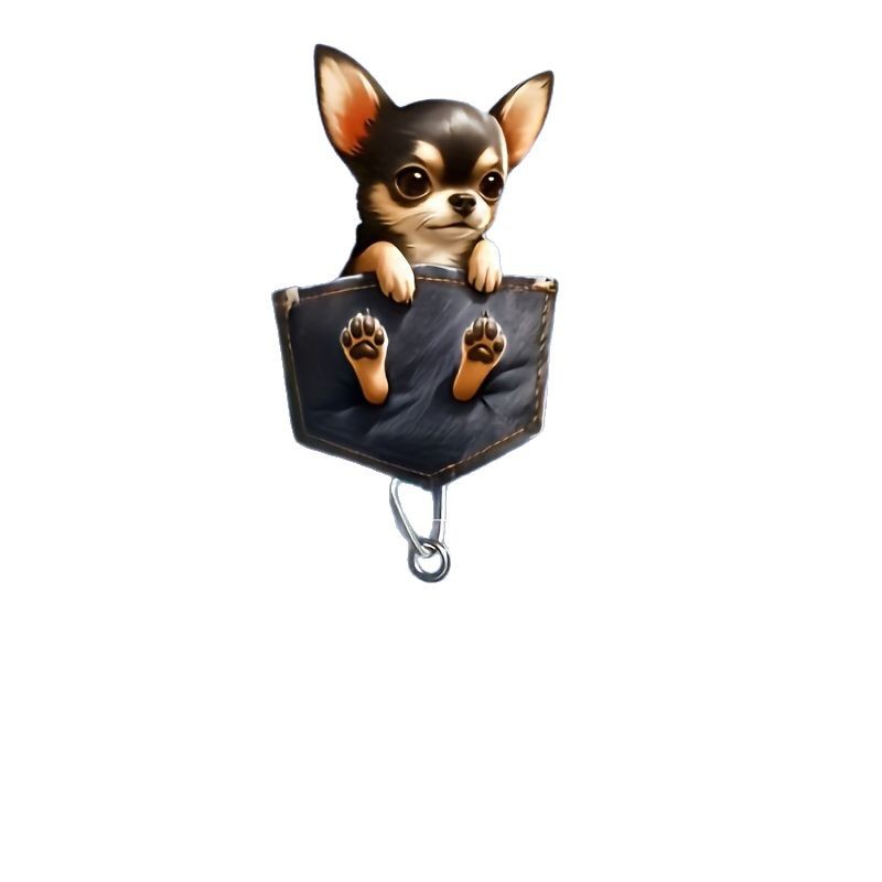 Nuevo clip de placa de perrito de bolsillo plano acrílico transfronterizo, clip de identificación, hebilla retráctil y fácil de tirar image 5