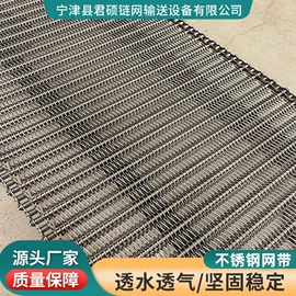 传动链;输送机;网带