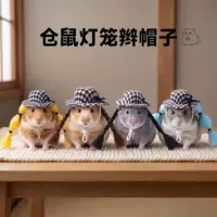 异宠社交平台推荐|小宠宠物互动社区
