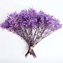 mini满天星干花花束家居装饰拍摄道具伴手礼盒迷你小花束婚庆装饰