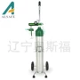 铝合金氧气瓶供氧器