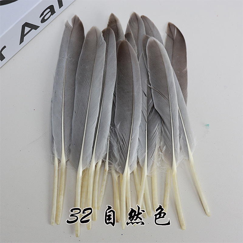 Plumas pequeñas al por mayor de plumas de faislo natural decorativas plumas artesanías bricolaje materiales hechos a mano divertidos accesorios de joyería de palo de gato