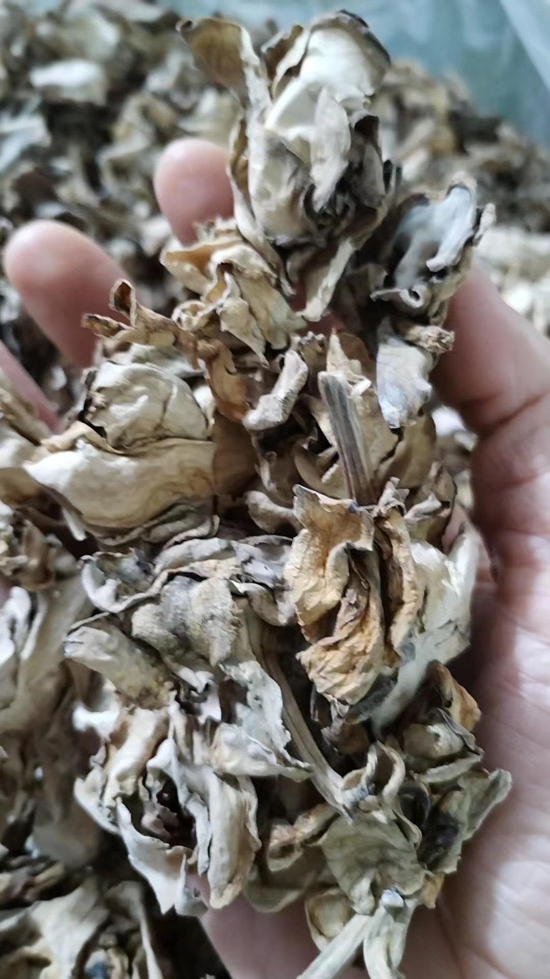 Dried Gardenia Flower (Gardenia jasminoides) — Yellow Zhi Zi Hua Herbal Tea, 500g overview