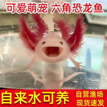 ���ǿ����~������ˮ��ˮ�~�������~���w�~�^�pϔ󢌙���~