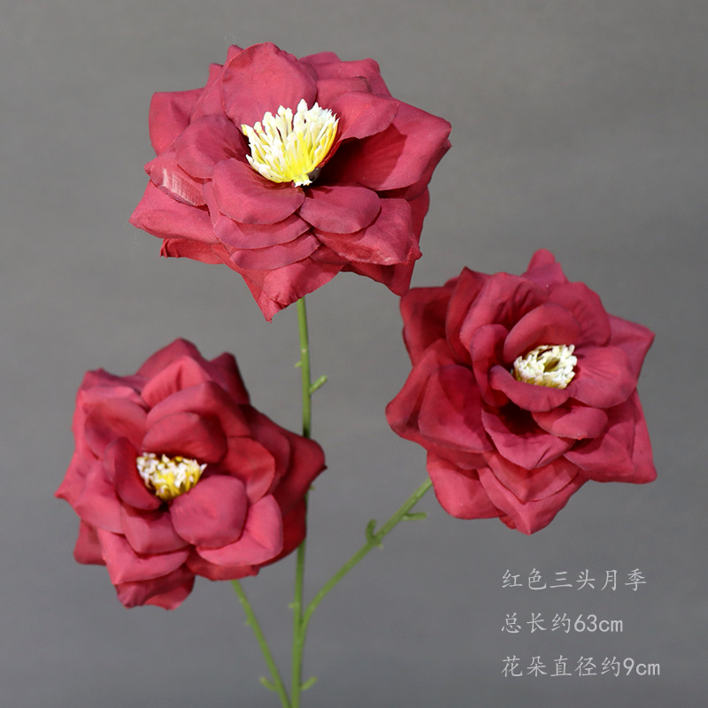 빨간색 삼두 장미의 가지