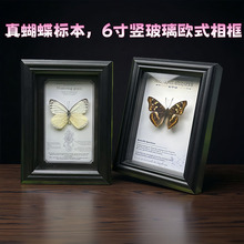 ������˱��G�����P�����̌W���ռҾӔ[�쮋�b���c���նY��