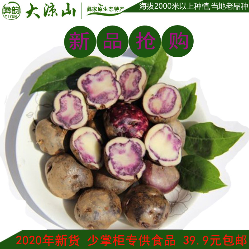 凉山布拖乌洋芋四川七彩土豆紫色红皮新鲜马铃薯5斤包邮舌尖2西昌