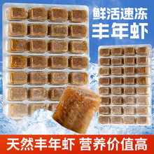 丰年虾卵红虫冰冻成虫灯科鱼孔雀鱼丰年虾赤虫冷冻鱼饲料凤尾鱼食