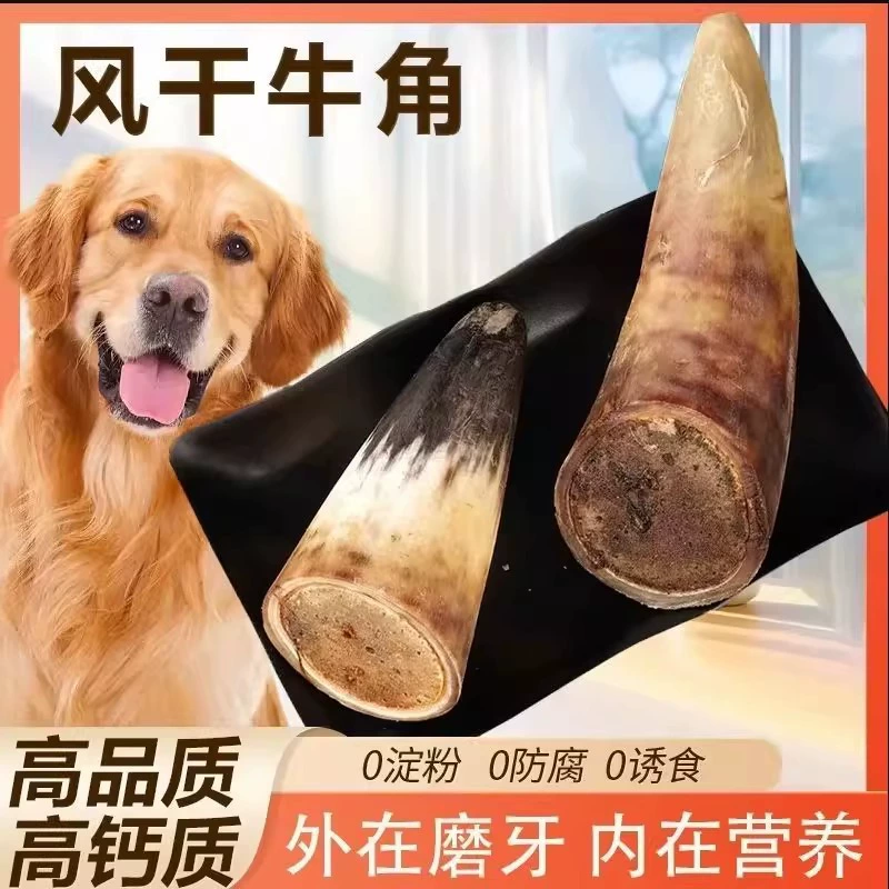 Сушка и воздушная сушка молярной палочки для домашних собак, настоящий рог, золотистый ретривер Тедди, молярная кость для маленьких, средних и больших собак, роговая кость