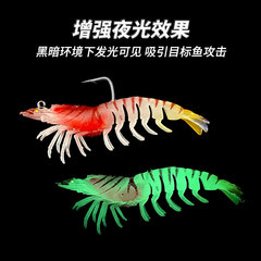 夜光大対エビはフック付きの餌を持っています。