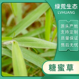 其他农业;工地施工材料;草坪