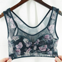 ���Q�ٽzӡ������ �o�Ȧ���� ���߹�Ĩ�؃��� ��MM�Ӵ�a����