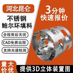 304ステンレス材質散山フィラー金属ボール環脱硫塔拉西環塔内部品ステンレスクリップ