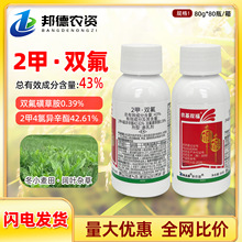 �r���p�� 43%2���p��2��4�Ȯ������p���ǲݰ���С�����s�ݳ��݄�