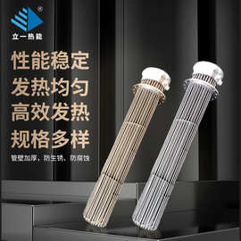 大功率加热管水箱铜头防爆烤箱工业加热棒定制不锈钢螺纹电加热管