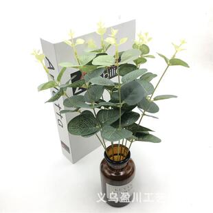 �����֦�ȼ�����c�b��h�Y��ֲ��}�Q�ٗl���X�~���滨���