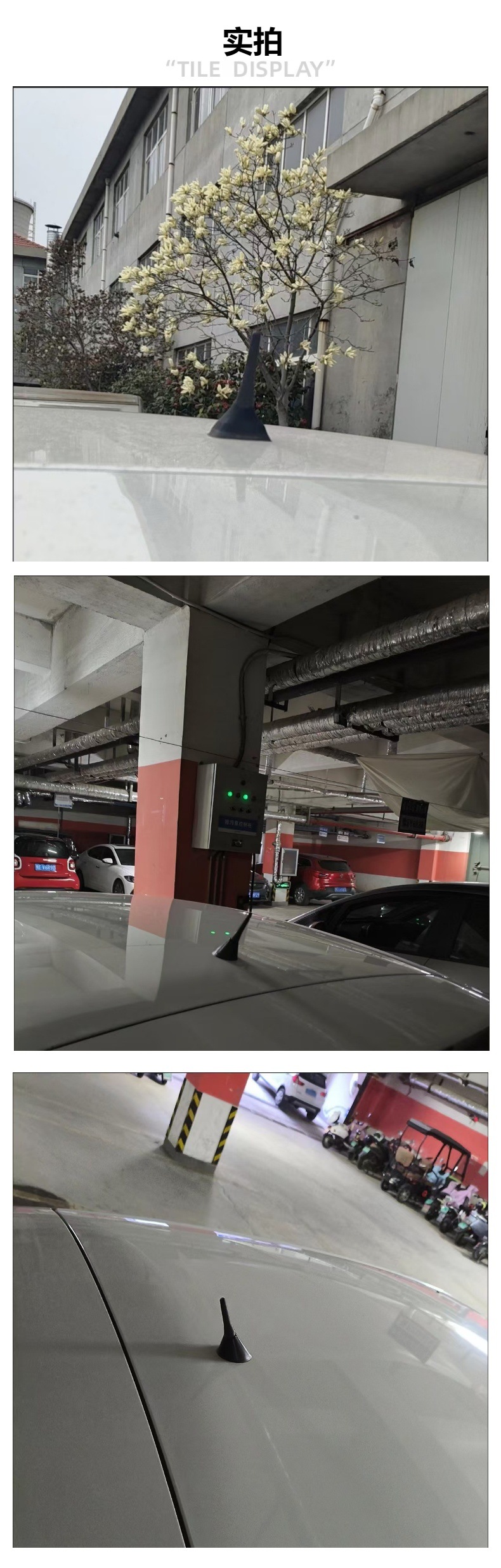 Universal Car Mini Short Antenna Roof Rear Radio Antenna