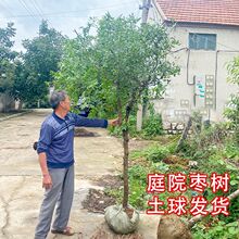 ������玧����Nֲ�޽��ش󶬗����ǽ�z󴗗�ϱ���ͥԺ���Թ���