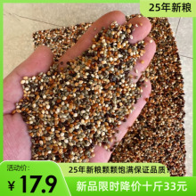25�� �¼Z ��ɫ������� �W�^ ���B ���� �S�B ���B �zȸ ���