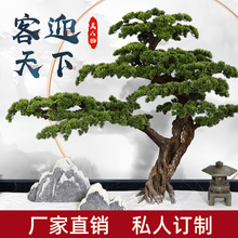 ���Ʒ���ӭ�����_�h�ɼ��ɘ��̈��҃��b�������ӭ���ɾ��^�[��