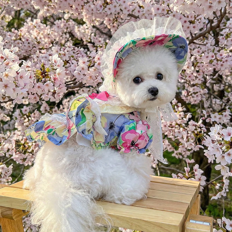Petcircle Pet Puppy and Cat Clothes Cute Factory Spring and Summer Floral Princess Dress Hat Set