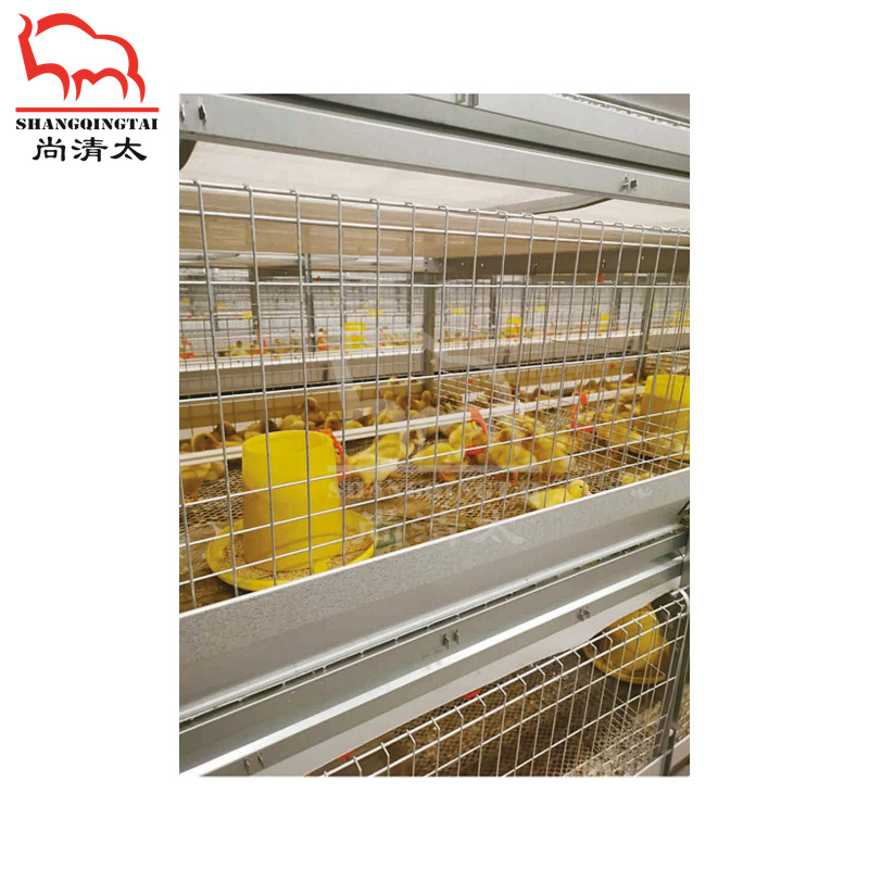 肉鸭全自动笼养系统 养鸭笼子 自动饲喂清粪 鸭子笼具 养殖设备