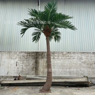 ����Ҭ�Ә䏝�U����䓼�Ҭ�Ә������S�Ҹ��N���^�����b��쾰