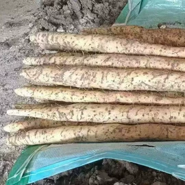 硅碳棒;工业炉;其他铸造设备