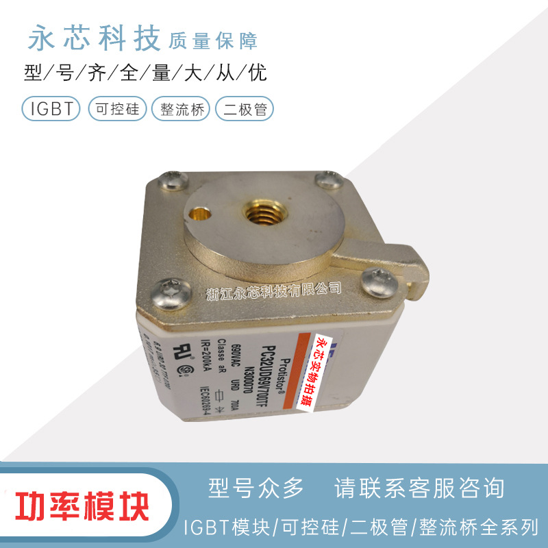 原厂直销PC36UD55V32CP11	M301978全新双连体熔断器  原装现货