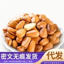 新货原味东北开口松子500g批发手剥红松坚果年货新鲜仁开口松子