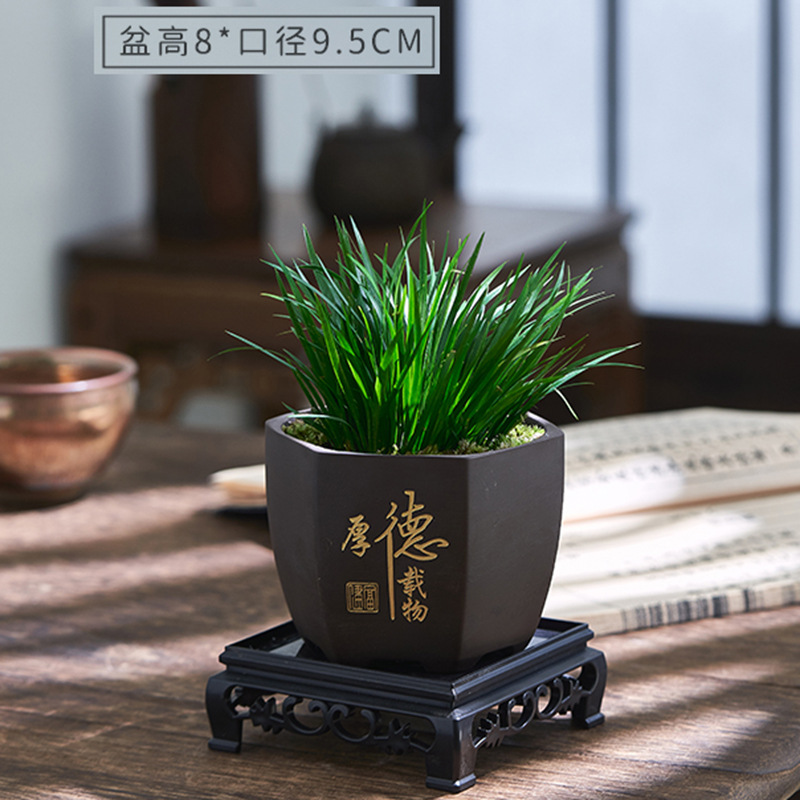 Dinero Acorus acorus bonsai pequeña maceta de oficina decoración de mesa de té modelado Zen迷 interior micro paisaje flor verde