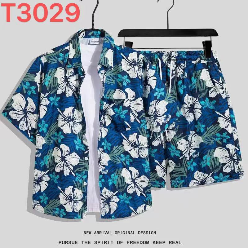 T3029 세트