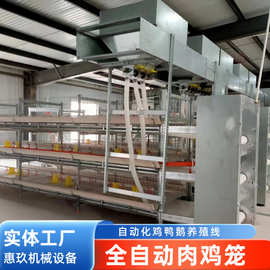 全自动肉鸡笼养殖 热镀锌丝鸡笼 三层立体式自动清粪喂料鸡笼子
