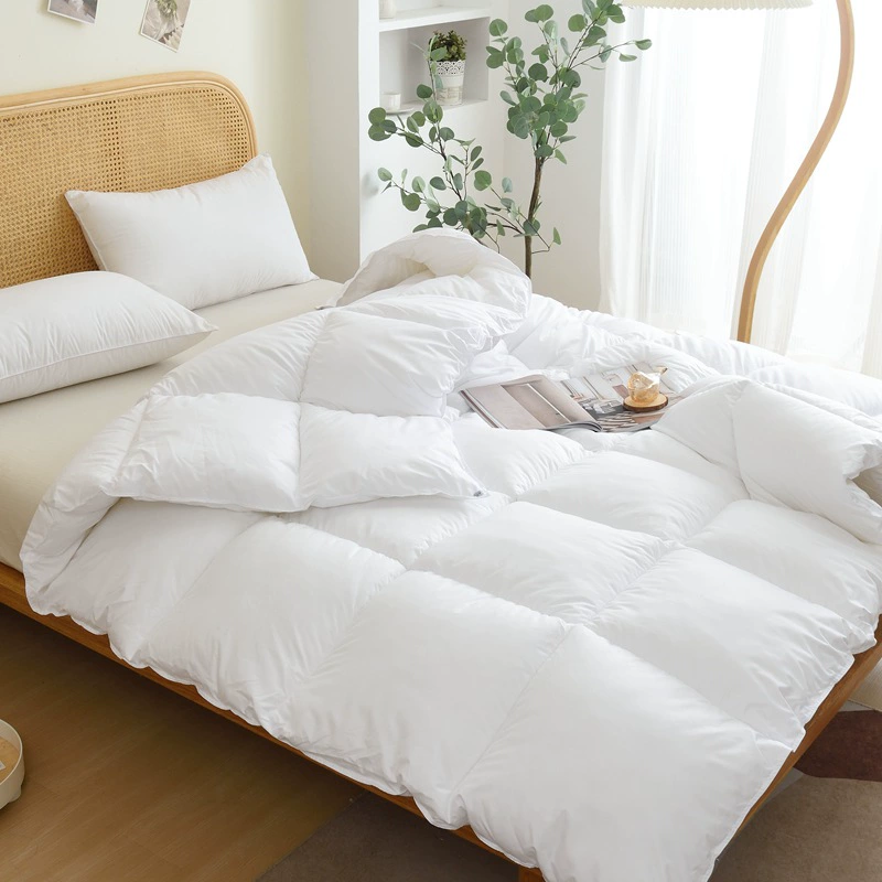 Сплошной цвет мягкое перо бархатное зимнее одеяло гостиничное одеяло универсальное весенне-осеннее одеяло теплое шелковое одеяло для студенческого общежития