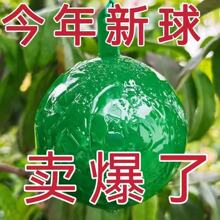 �Tω����ٴ�ω�Ϲ��T�����ωճ�x��ճωֲ���S���p���x��