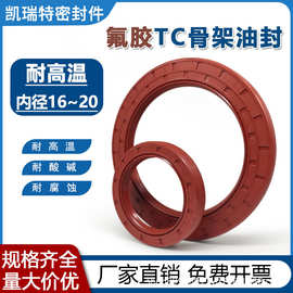 氟胶骨架油封内径16~20耐高温耐腐蚀耐磨TC骨架油封水封TG4外螺纹