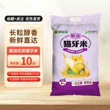 24年晚稻新米丝苗米10斤猫牙米天然农家长粒大米5kg生态长粒香米