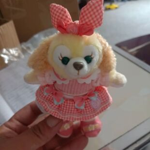 2024�������N������ë�q���а���ż���J������Ȍ�����ſſ��