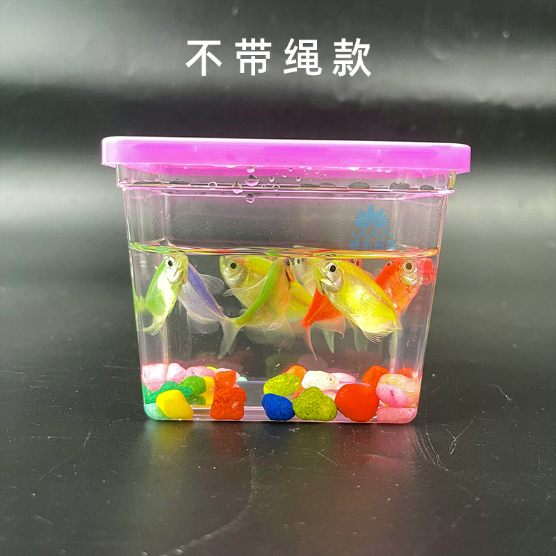 다채로운 사각형 수조 [끈 없음]