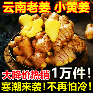 ���������ɽС�S���Ͻ����l5�ﮔ�����r�߲˴�����ԭ�a��ֱ�N10