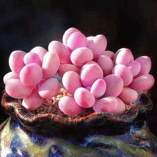 ֲҵϘ֮ѷۼtҵ̨҃BСԾGֲ